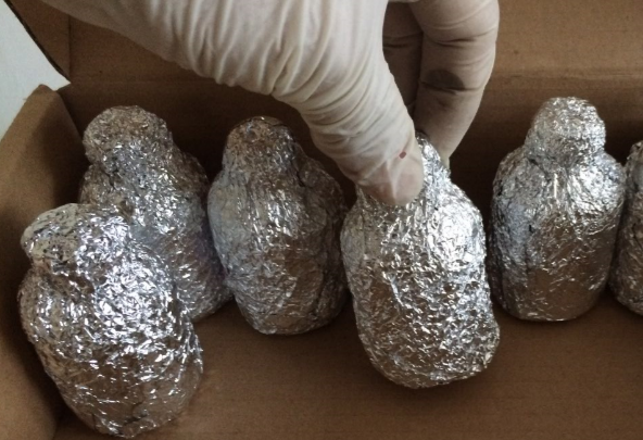 治癌藥物避光冷鏈運送到孟加拉國，負重致遠，得一絕不含糊！