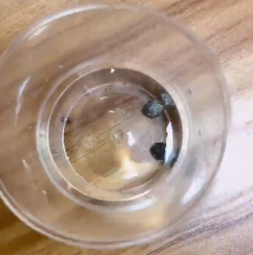 <a href='http://www.zdgcsg.com' title='危險(xiǎn)品貨代' >危險(xiǎn)品貨代</a>